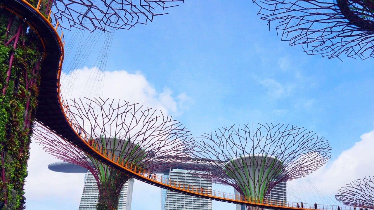 Background Paper on Building Singapore's Capabilities to Assess Nuclear Energy