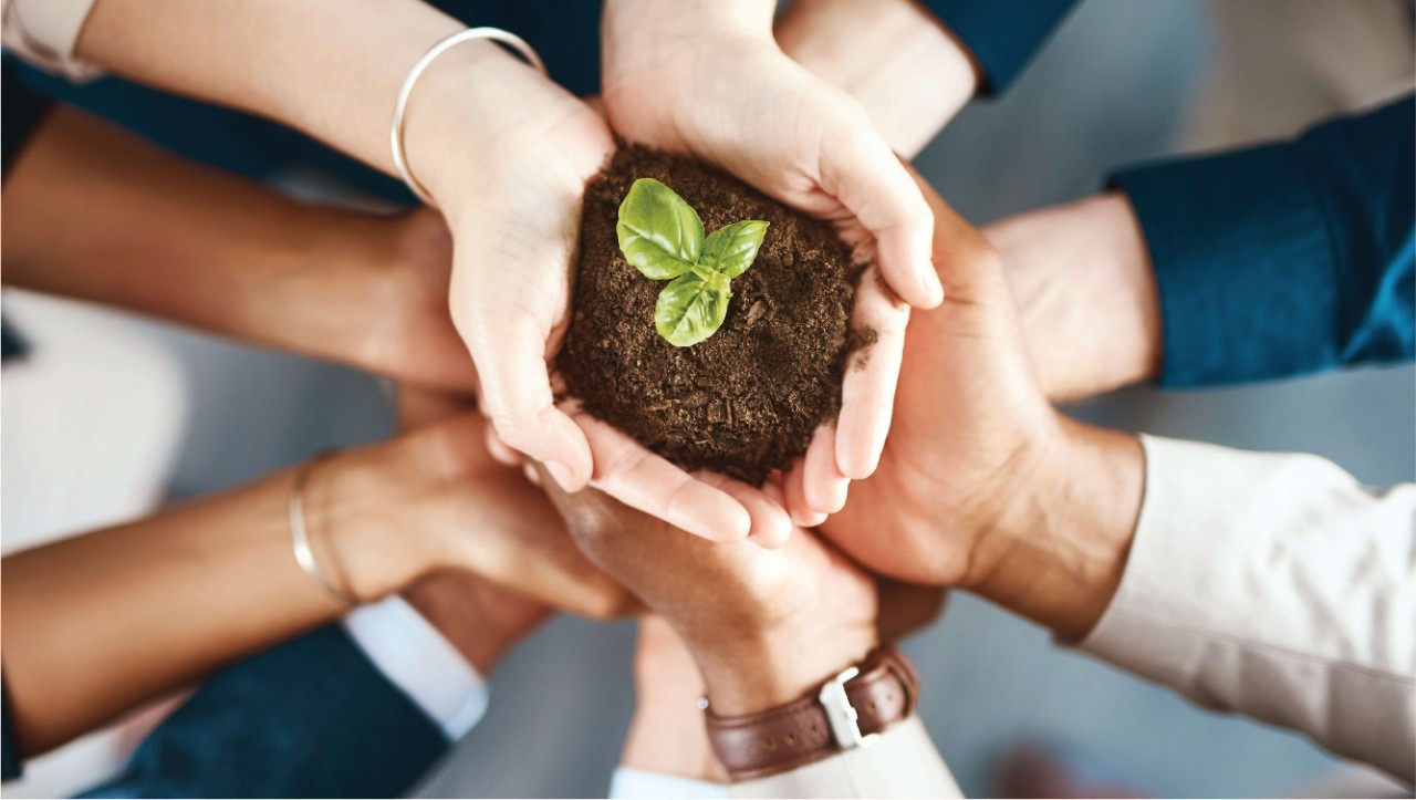 The increasing need for sustainability in Singapore sees a surge in green career opportunities.