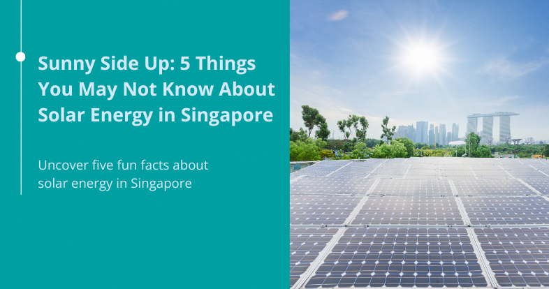banner linking to feature story on solar energy in Singapore
