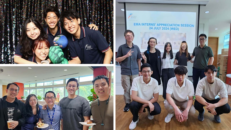 Life at EMA for Interns